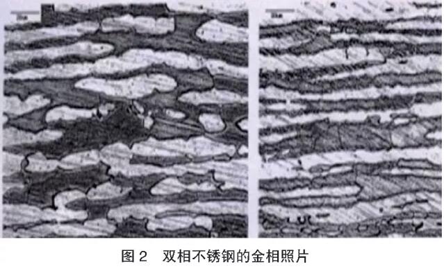 黄瓜视频黄色黄瓜视频在线观看